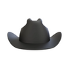 Cowboy Hat