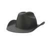 Cowboy Hat
